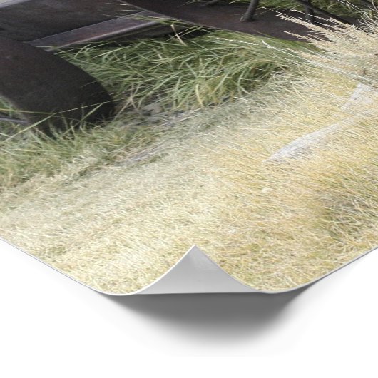 ボディ州歴史公園 ポスター (角)