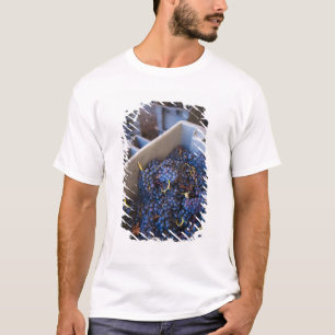 ボデガス・マルケス・デ・リスカル ワイナリー、ぶどう Tシャツ