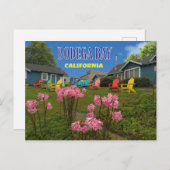 ボデガベイボデガハーバーインポストカード ポストカード (正面/裏面)