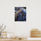 ボデガマルケスデリスカルワイナリー、ブドウ ポスター (キッチン)