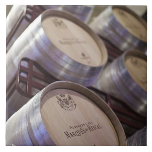 ボデガマルケスデリスカルワイナリー、ワインセラー タイル (正面)