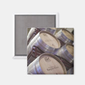 ボデガマルケスデリスカルワイナリー、ワインセラー マグネット (正面/裏面)