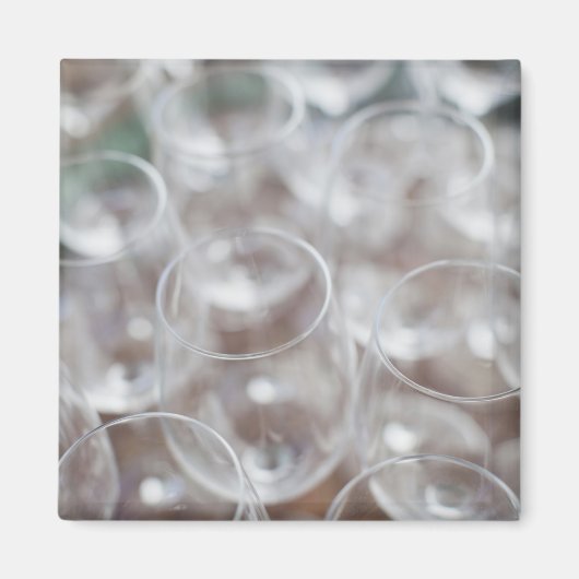 ボデガマルケスデリスカルワイナリー，ワインテイスティング マグネット (正面)