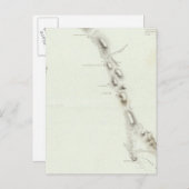 ボデガ湾 ポストカード (正面/裏面)