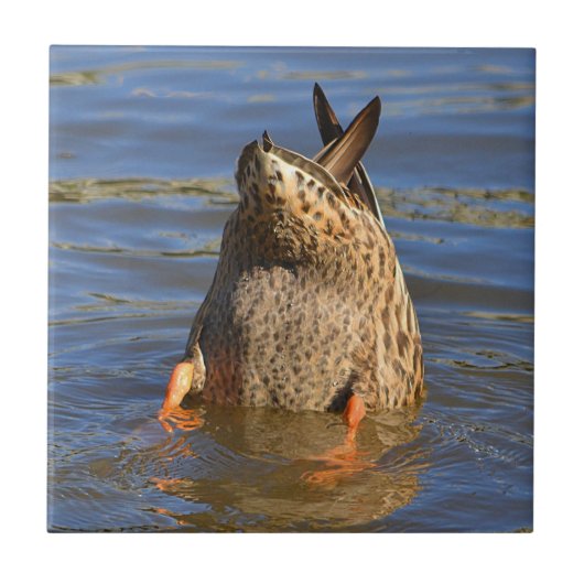 ボトムズアップダックタイル タイル (正面)