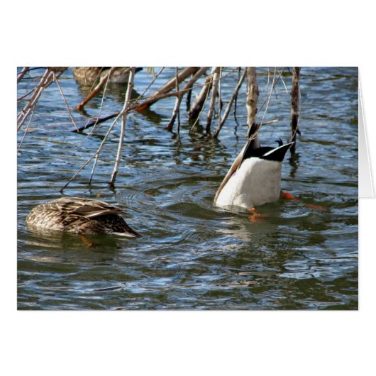 ボトムズアップ (正面横)