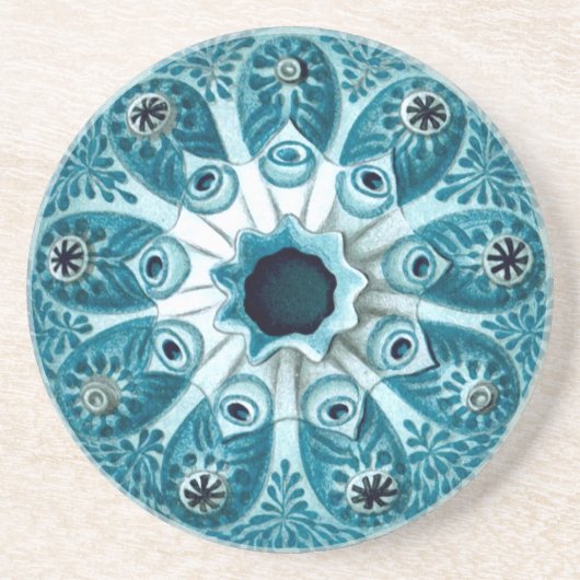 ボトリルスポリサイクルスエルンストヘッケルファインアート コースター (正面)