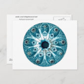 ボトリルスポリサイクルスエルンストヘッケルファインアート ポストカード (正面/裏面)