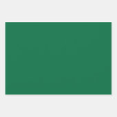 ボトルの緑無地の色 |クラシック |エレガント | ラッピングペーパーシート (正面2)