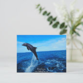ボトルイルカ ポストカード (スタンド正面)