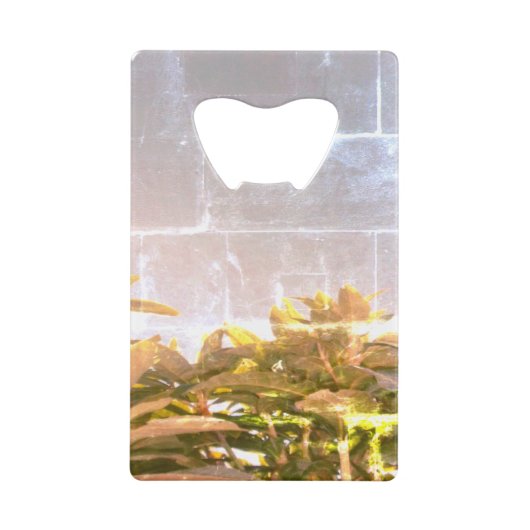 ボトルオープナー (裏面)