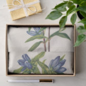 ボトルゲンチアンバイメリーヴォーウォルコット 薄葉紙 (ギフト)