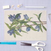 ボトルゲンチアンバイメリーヴォーウォルコット 薄葉紙 (クラフト)