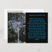 ボトルツリーサウスカロライナ ポストカード (正面/裏面)