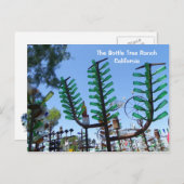 ボトルツリーランチ葉書! ポストカード (正面/裏面)
