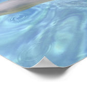 ボトルノースのイルカを閉じる ポスター (角)