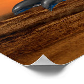 ボトルノースドルフィンアットサンセット ポスター (角)