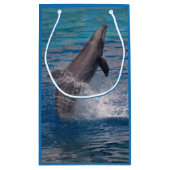 ボトルノースドルフィン小抱き枕 スモールペーパーバッグ (裏面)