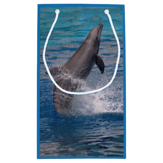 ボトルノースドルフィン小抱き枕 スモールペーパーバッグ (裏面)