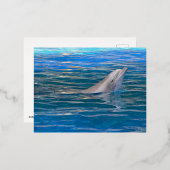ボトルノース・イルカ頭 箔シーズンポストカード (正面/裏面)