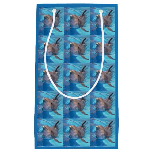 ボトルノース・イルカ スモールペーパーバッグ (正面)