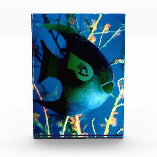 ボトルフィッシュjGibneyザミュージアムザズル フォトブロック (正面)