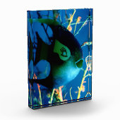 ボトルフィッシュjGibneyザミュージアムザズル フォトブロック (左)