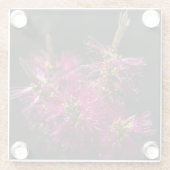 ボトルブラシガラスコースター、ボトルブラシコースター ガラスコースター (裏面)