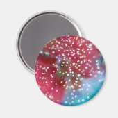 ボトルブラシ花抽象芸術 マグネット (正面/裏面)