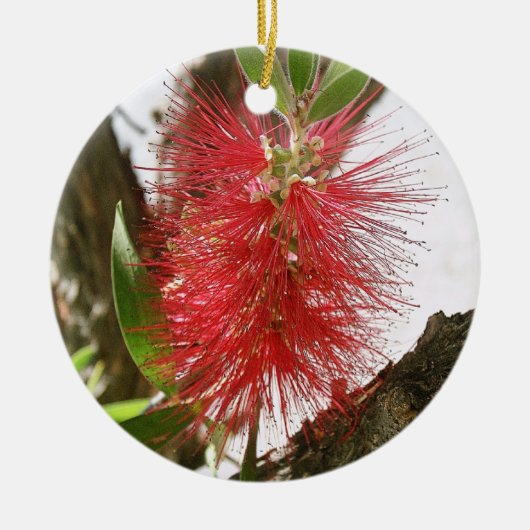 ボトルブラシCallistemon 8 セラミックオーナメント (正面)