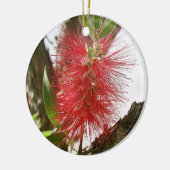 ボトルブラシCallistemon 8 セラミックオーナメント (左)