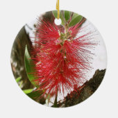 ボトルブラシCallistemon 8 セラミックオーナメント (裏面)