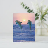 ボトルードルフィンズアットサンライズ ポストカード (スタンド正面)