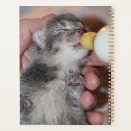 ボトル食べ物を与えズ生まれたばかりのレスキュー虎猫キッテン プランナー手帳 (裏面)