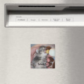 ボトル食べ物を与えズ生まれたばかりのレスキュー虎猫キッテン マグネット (インサイチュ (食洗機))