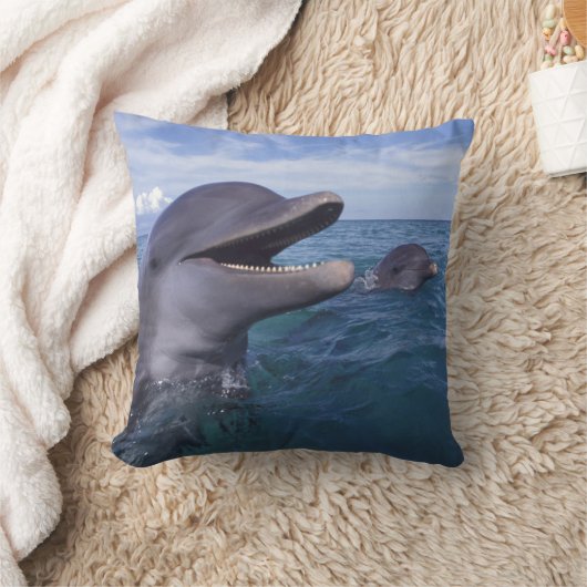 ボトレカリブのノース クッション (ブランケット)