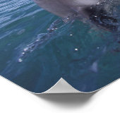 ボトレカリブのノース ポスター (角)