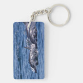 ボトレスイルカのグループ – オマーン キーホルダー (裏面)