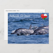 ボトレスイルカのグループ – オマーン ポストカード (正面/裏面)