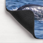 ボトレスイルカのグループ – オマーン マウスパッド (コーナー)