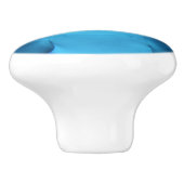 ボトレスドルフィンは水中でカメラを見る セラミックノブ (側面)