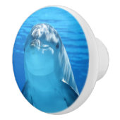 ボトレスドルフィンは水中でカメラを見る セラミックノブ (右)