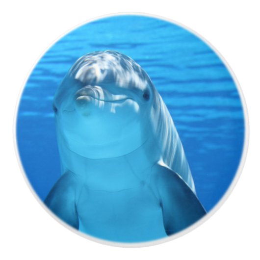 ボトレスドルフィンは水中でカメラを見る セラミックノブ (正面)