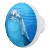 ボトレスドルフィンは水中でカメラを見る セラミックノブ (右)