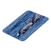 ボトレスドルフィングループ マグネット (左側)