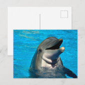 ボトレスドルフィンヘッド シーズンポストカード (正面/裏面)