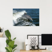 ボトレスドルフィン写真ポスタープリント ポスター (ホームオフィス)