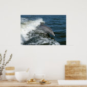 ボトレスドルフィン写真ポスタープリント ポスター (キッチン)