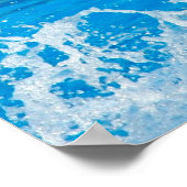 ボトレスドルフィン ポスター (角)