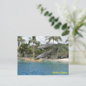 ボトレスドルフィン ポストカード (スタンド正面)